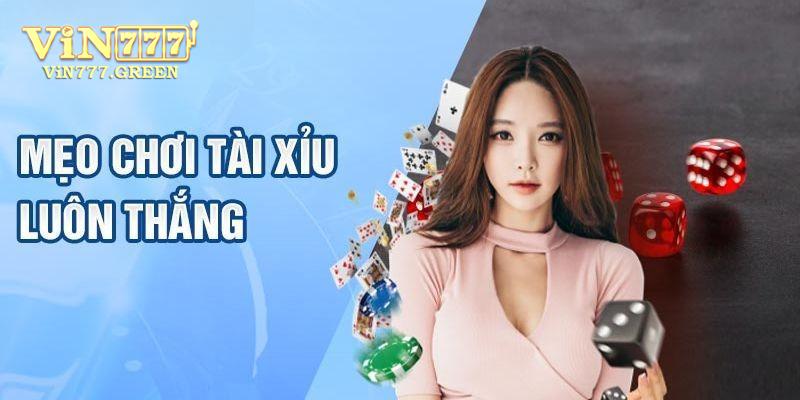 Mèo giúp bạn chơi Tài xỉu chiến thắng