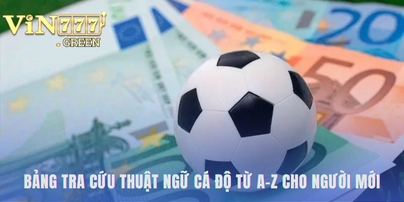 Tổng hợp thuật ngữ cá độ bóng đá giúp người mới chủ động