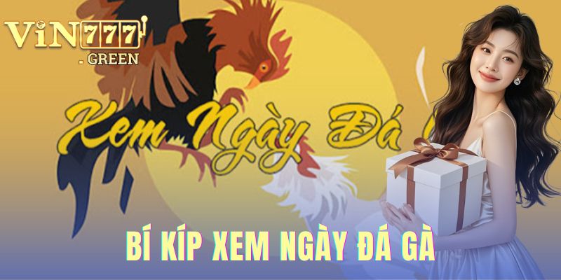 Bí Kíp Xem Ngày Đá Gà