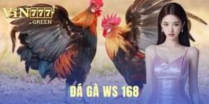 Đá Gà WS 168