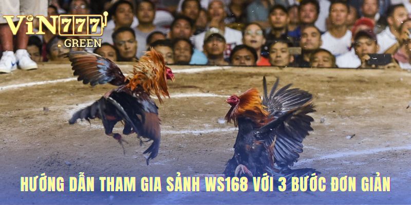 Hướng dẫn tham gia sảnh WS168 tóm gọn trong 3 bước nhanh chóng