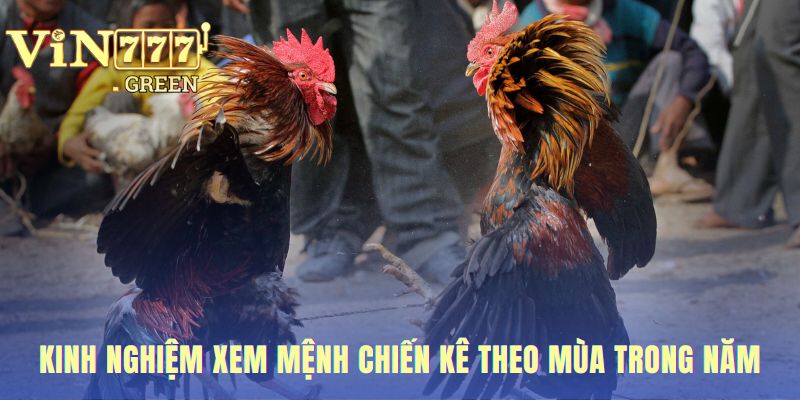 Xem mệnh theo mùa là bí kíp xem ngày đá gà trình độ cao hơn