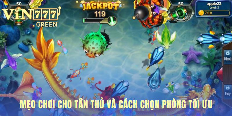 Các mẹo chơi cho người mới khi chơi