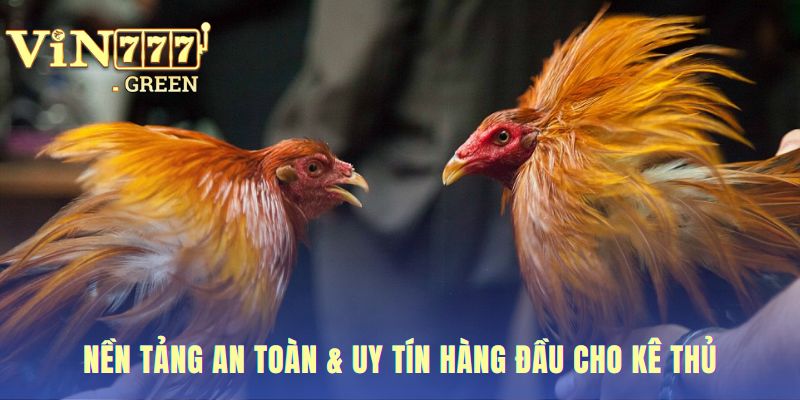 Nền tảng an toàn bảo mật SSL và giao dịch nhanh chóng